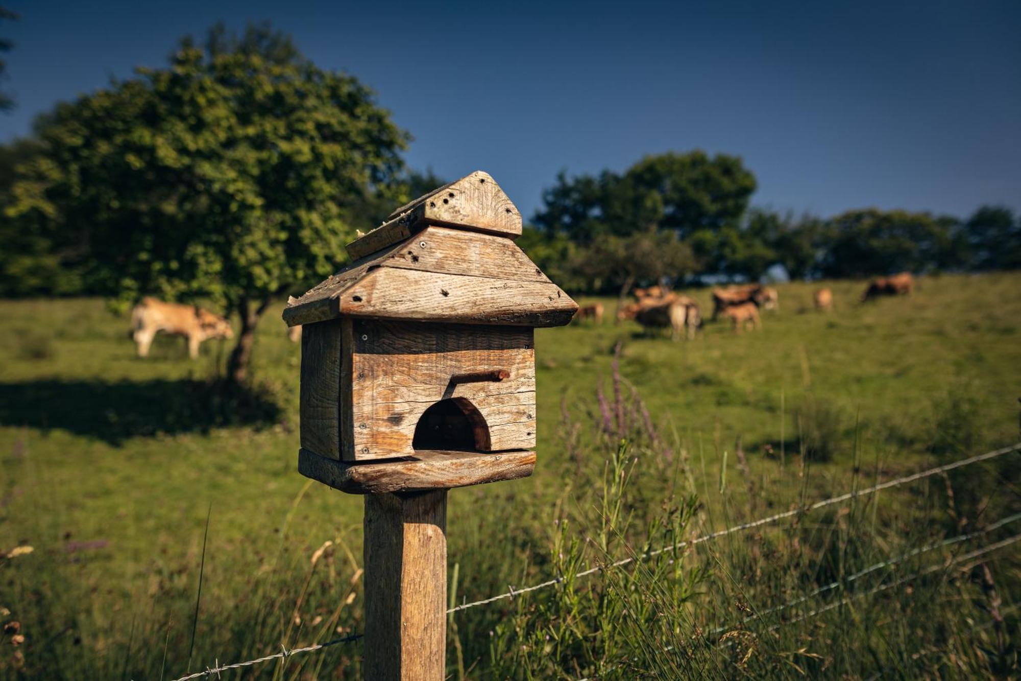 Finca La Naguada Casa Rural En Asturias Beloncio Esterno foto