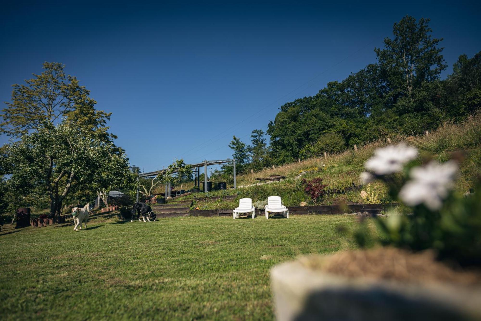 Finca La Naguada Casa Rural En Asturias Beloncio Esterno foto