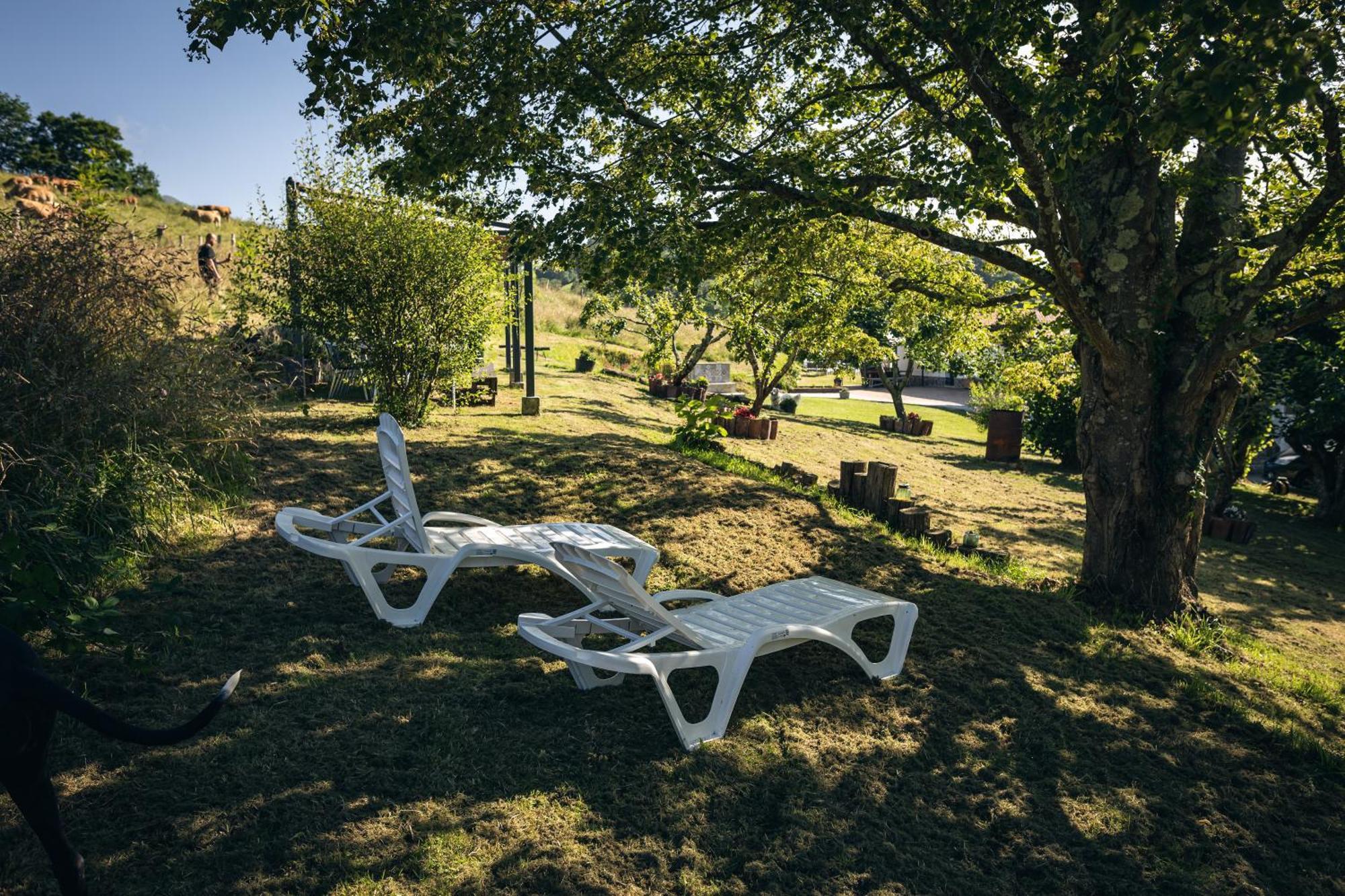 Finca La Naguada Casa Rural En Asturias Beloncio Esterno foto