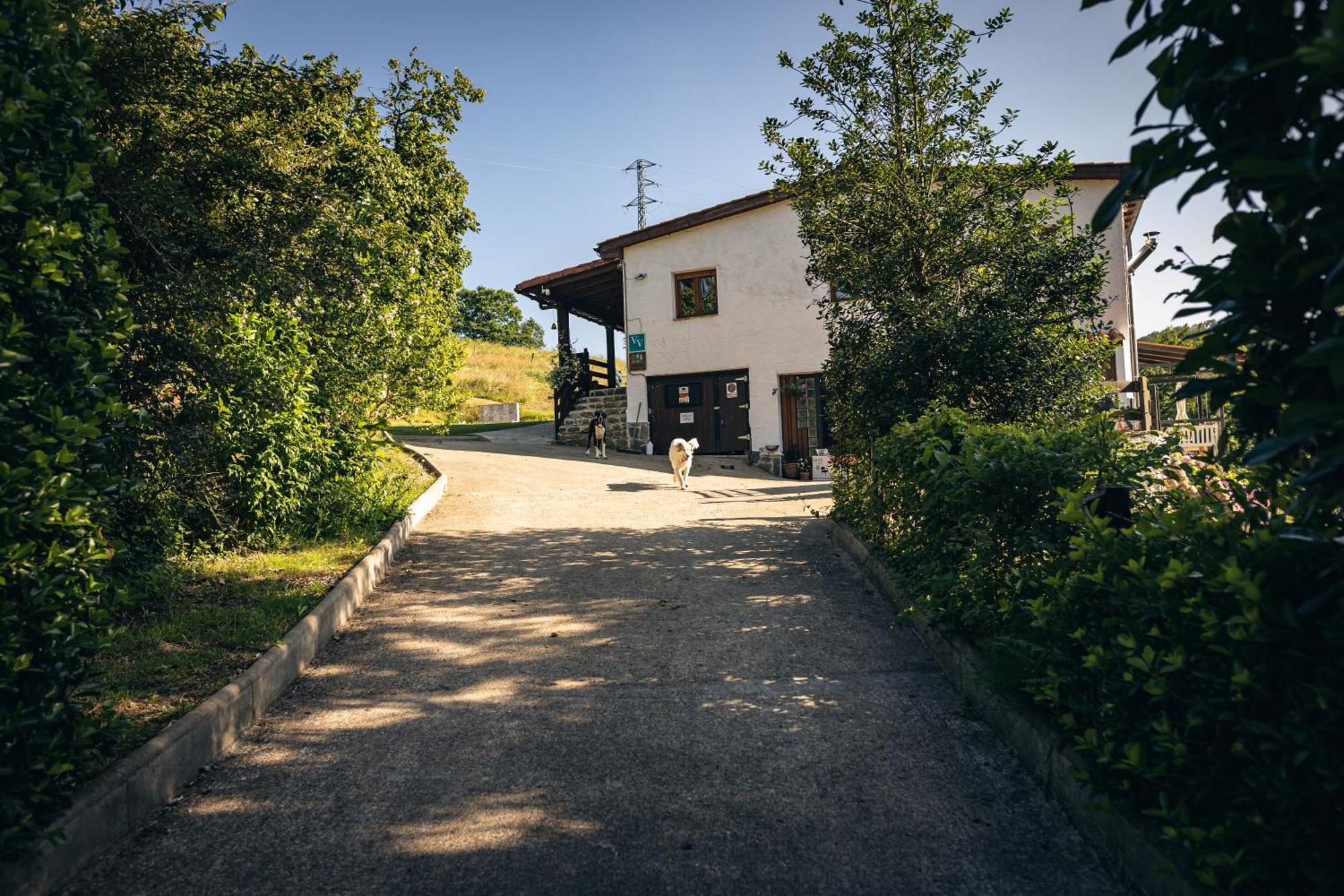 Finca La Naguada Casa Rural En Asturias Beloncio Esterno foto